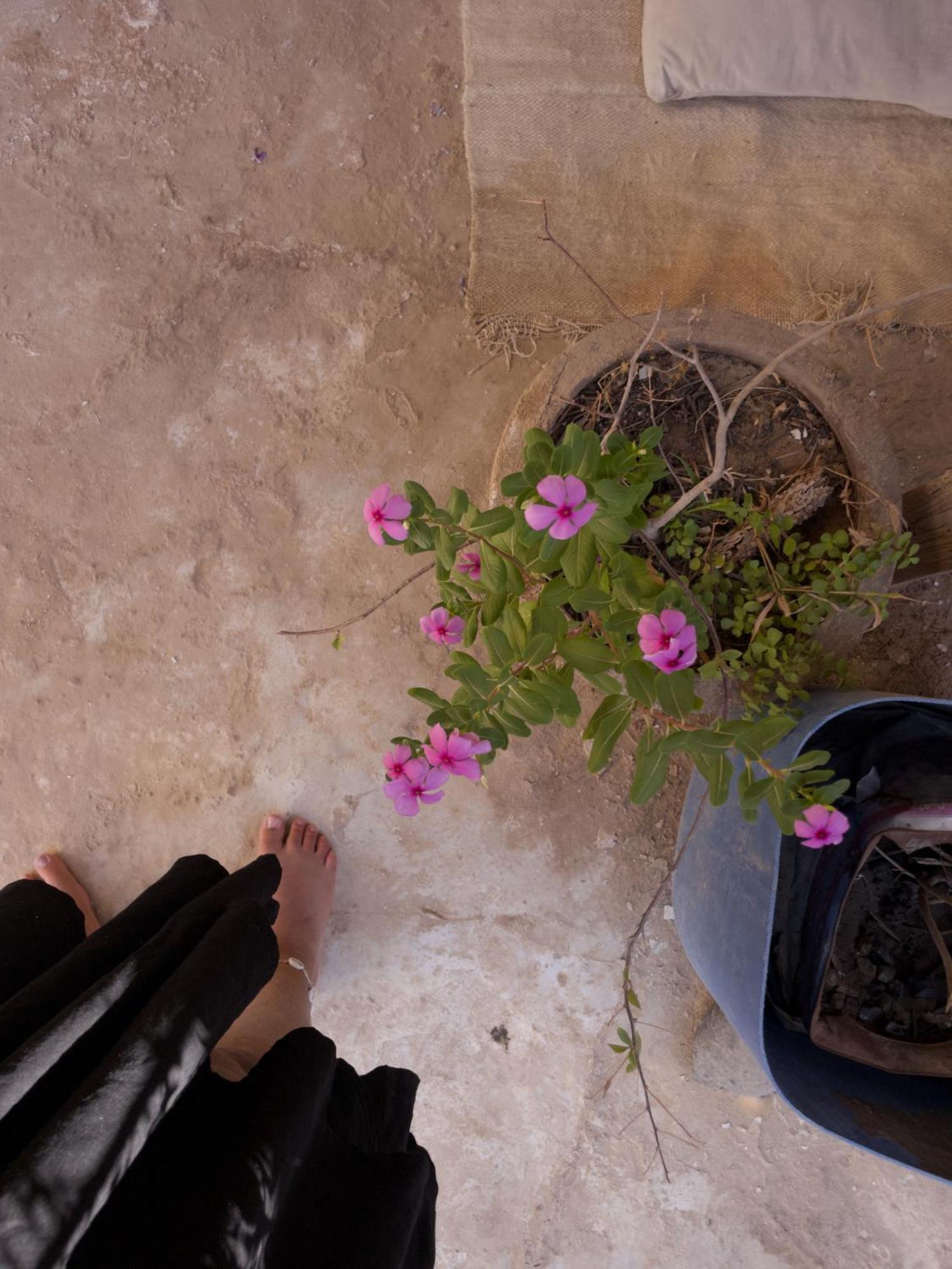 Baben Home Siwa Oasis Exterior photo