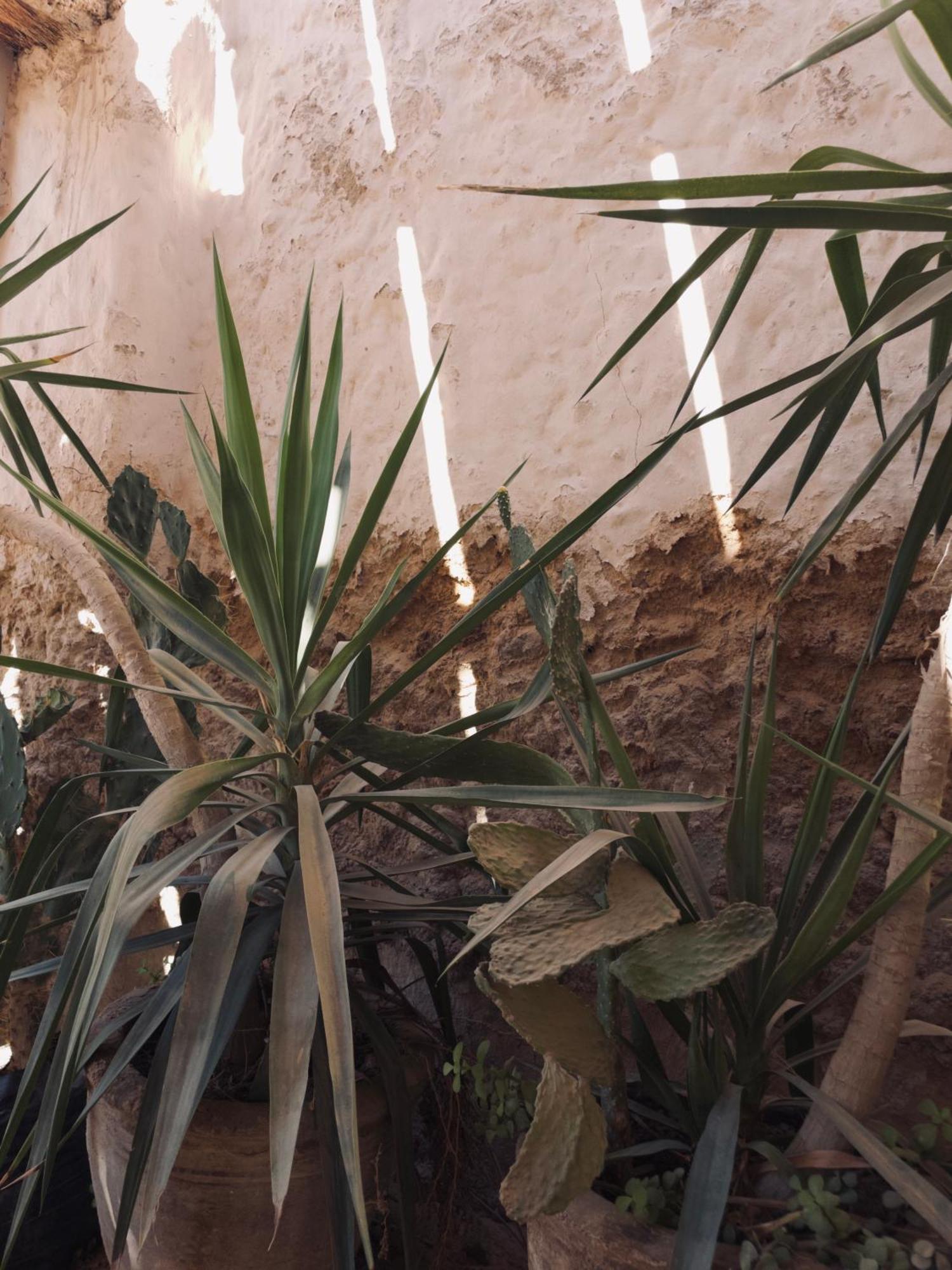 Baben Home Siwa Oasis Exterior photo